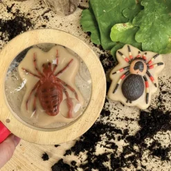 Sensory Play Stones: Bugs 12 Pieces