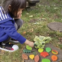 Sensory Play Stones: Leaves 12 Pieces