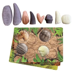 Sensory Prehistoric Teeth Stones and Activity Cards Set