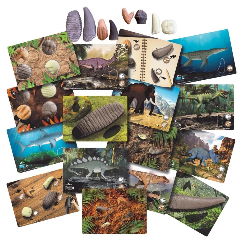 Sensory Prehistoric Teeth Stones and Activity Cards Set