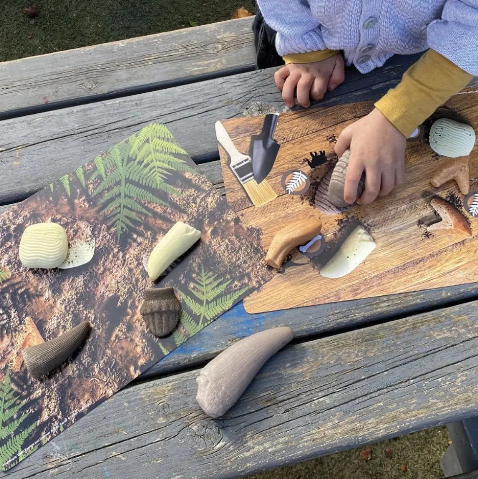 Sensory Prehistoric Teeth Stones and Activity Cards Set