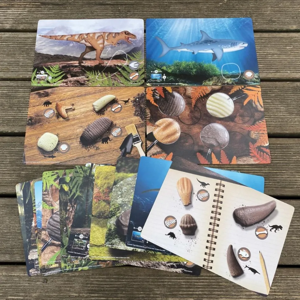 Sensory Prehistoric Teeth Stones and Activity Cards Set