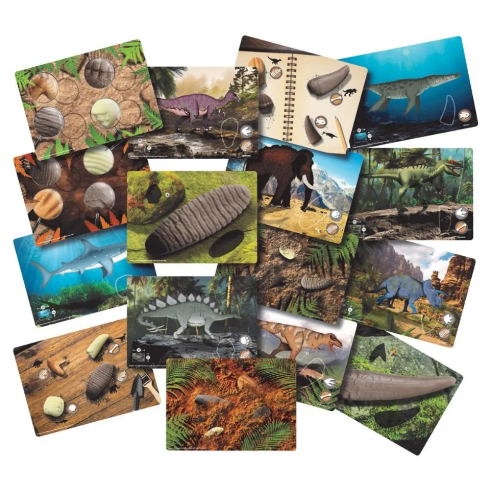 Sensory Prehistoric Teeth Stones and Activity Cards Set