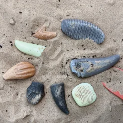 Sensory Prehistoric Teeth Stones and Activity Cards Set
