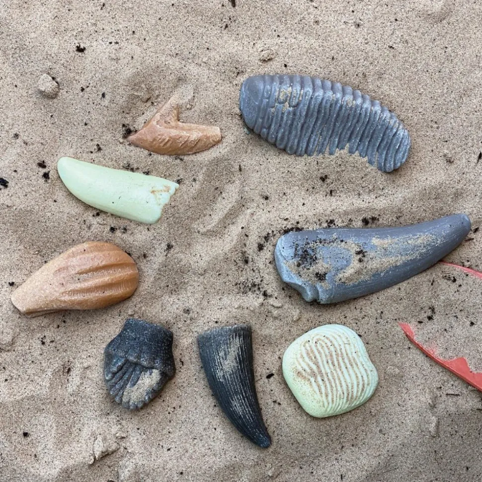 Sensory Prehistoric Teeth Stones and Activity Cards Set