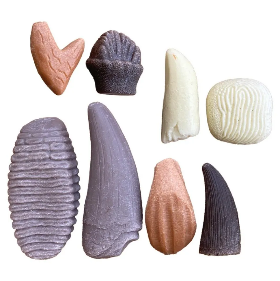 Sensory Prehistoric Teeth Stones and Activity Cards Set