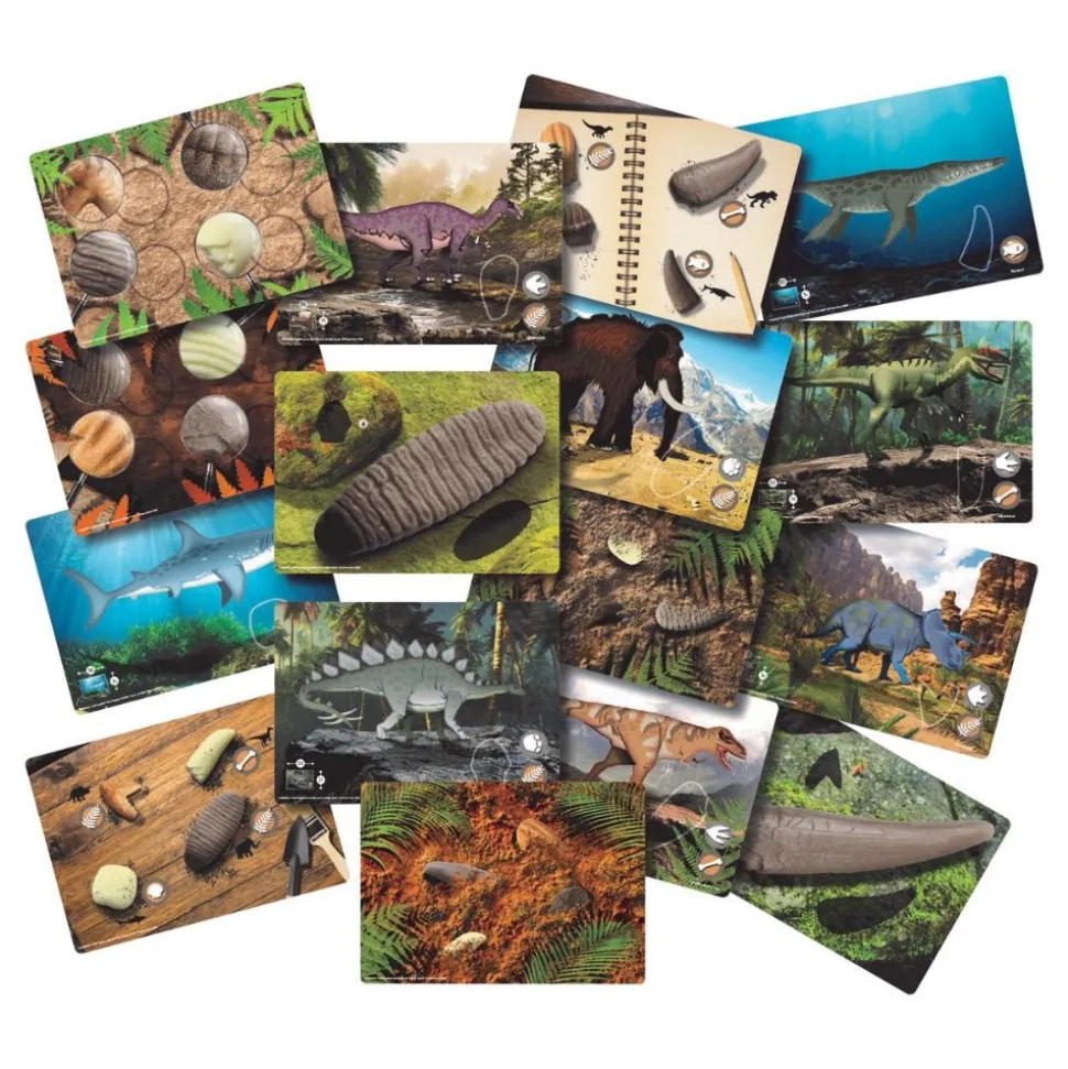 Sensory Prehistoric Teeth Stones and Activity Cards Set