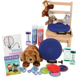 Sensory Processing Support Kit