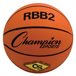 Set of 3 Sports Balls with Bag