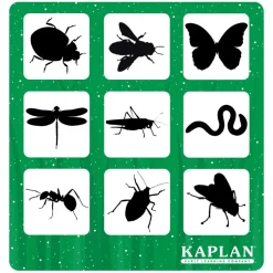 Shadow Matching and Memory Game