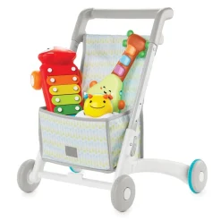 Skip Hop 4-in-1 Baby Walker