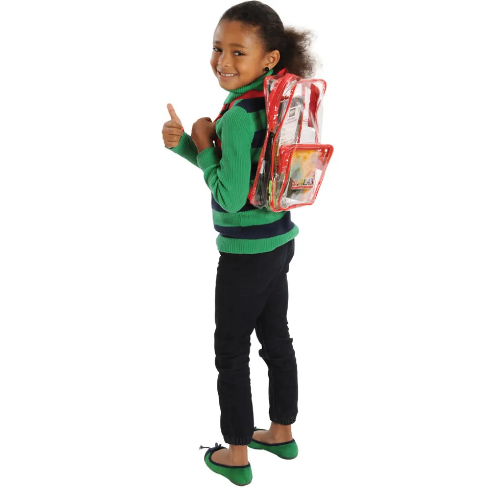 Small Clear Take Home Backpack