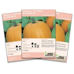 Small Sugar Pumpkin Seeds 3-Pack