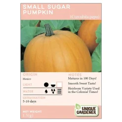 Small Sugar Pumpkin Seeds 3-Pack