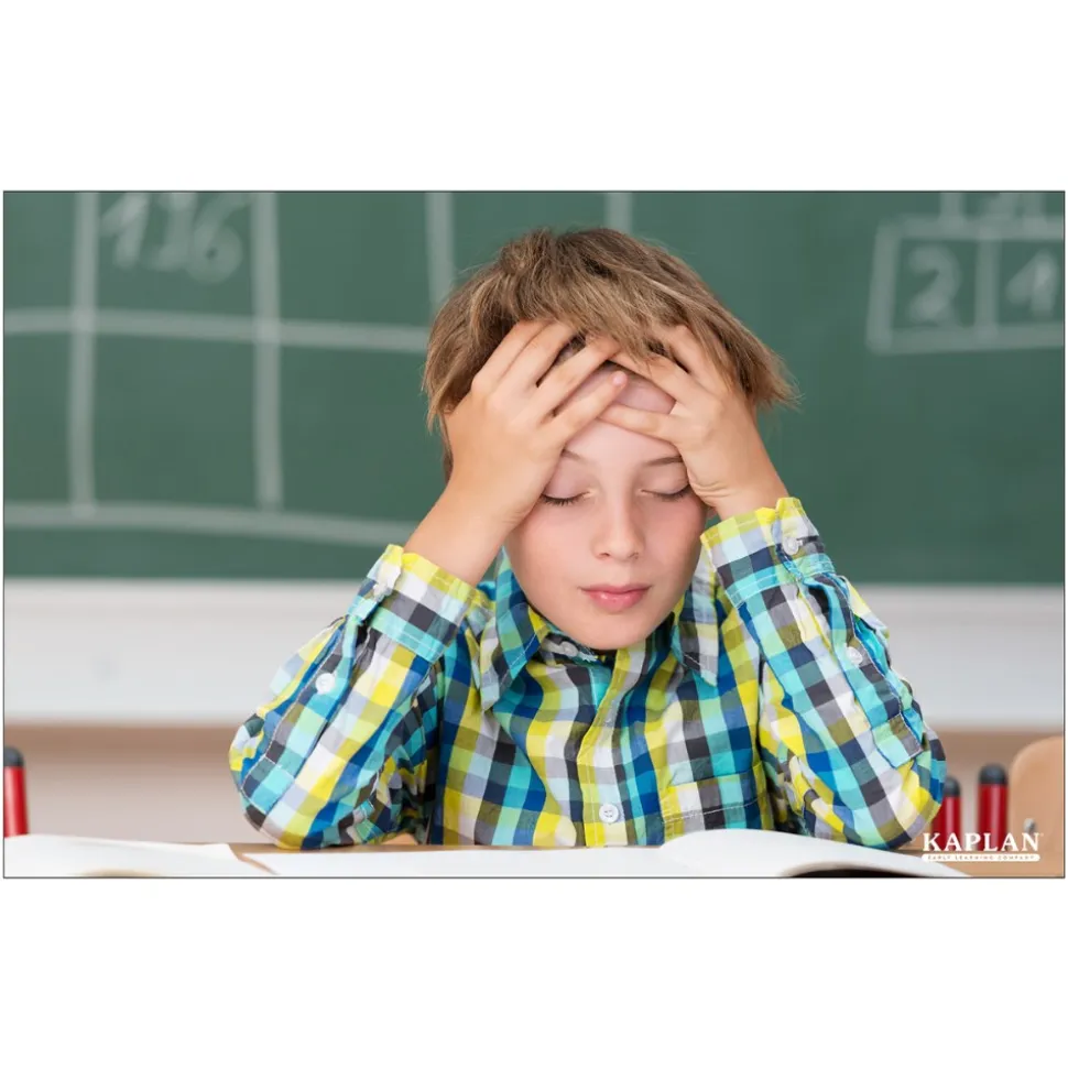 Social and Emotional High Quality Classroom Poster Set Set of 12