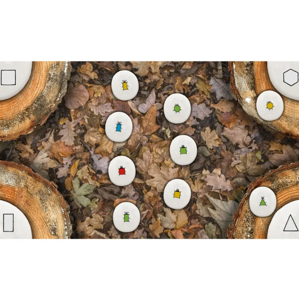 Sorting Stones Large Screen and Tablet Software/App