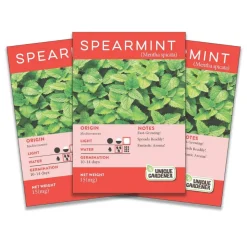 Spearmint Seeds 3-Pack