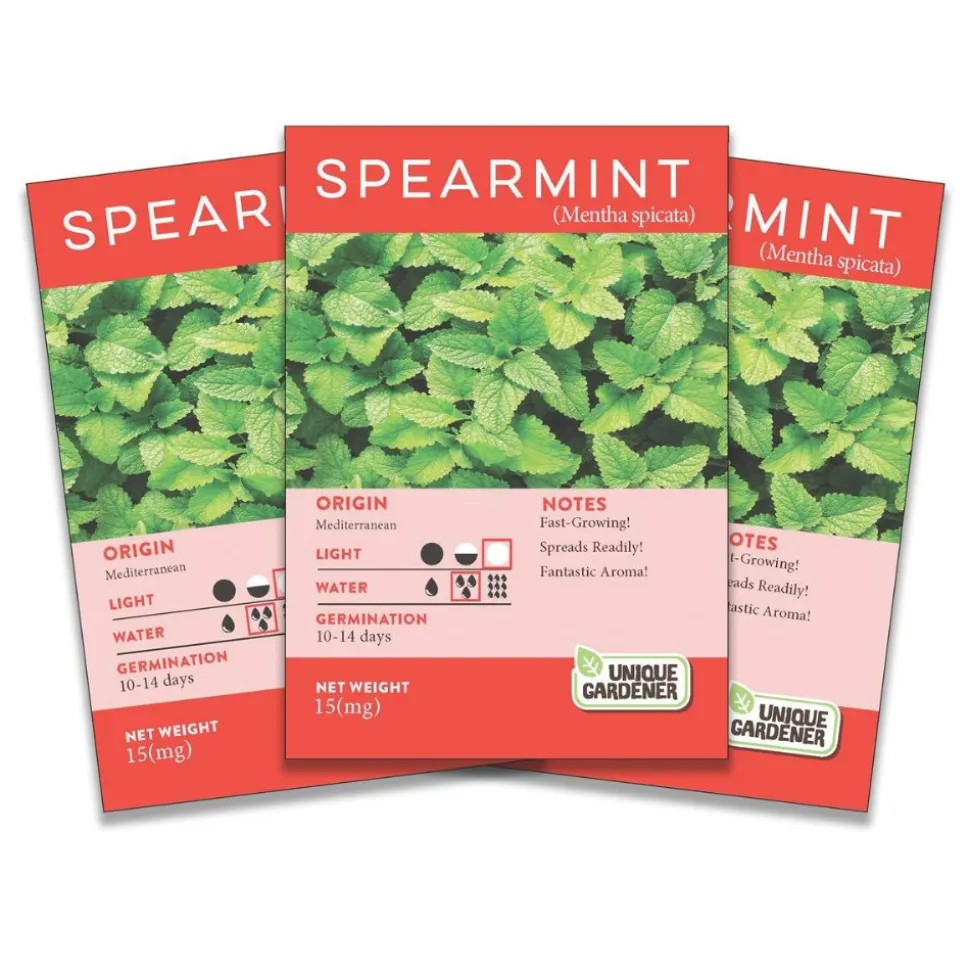 Spearmint Seeds 3-Pack
