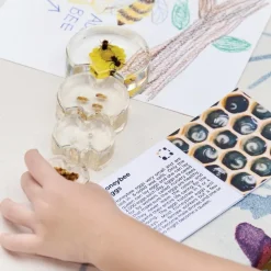 Specimen Life Cycle Puzzles Honey Bee