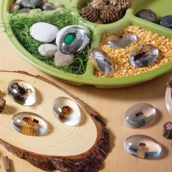 Specimen Stones: Bugs 9 Stones