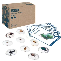 Specimen Stones: Bugs 9 Stones