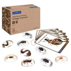 Specimen Stones: Creepy Crawlers 9 Stones