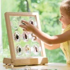 Specimen Stones: Creepy Crawlers 9 Stones