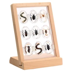 Specimen Stones: Creepy Crawlers 9 Stones