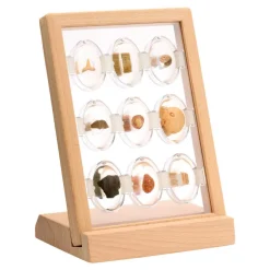 Specimen Stones: Fossils 9 Stones