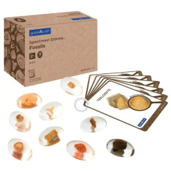 Specimen Stones: Fossils 9 Stones