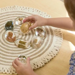 Specimen Stones: Fossils 9 Stones