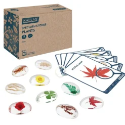 Specimen Stones: Plants 9 Stones