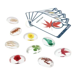 Specimen Stones: Plants 9 Stones