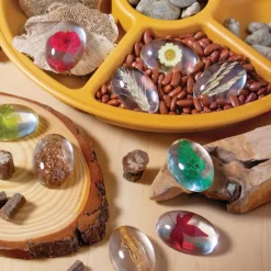Specimen Stones: Plants 9 Stones