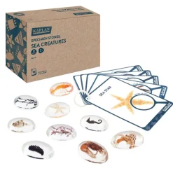 Specimen Stones: Sea Creatures 9 Stones