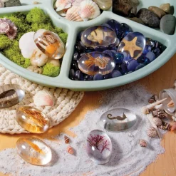 Specimen Stones: Sea Creatures 9 Stones