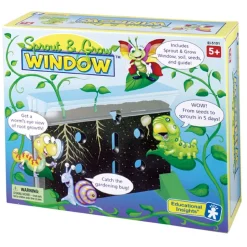 Sprout and Grow Window