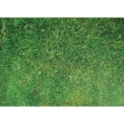 STEM Play Mat 59