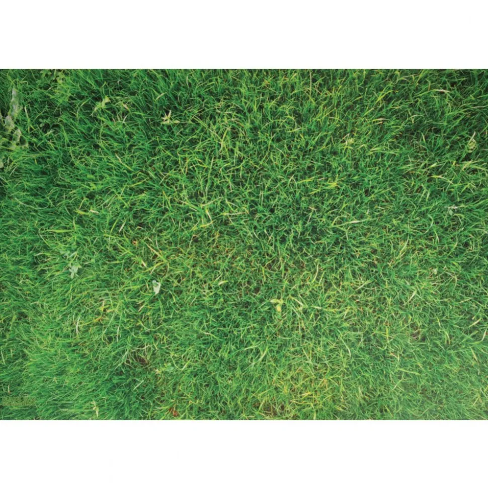 STEM Play Mat 59" x 39.5" Rectangle