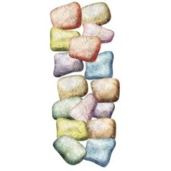 Stepping Stones Balance Kit