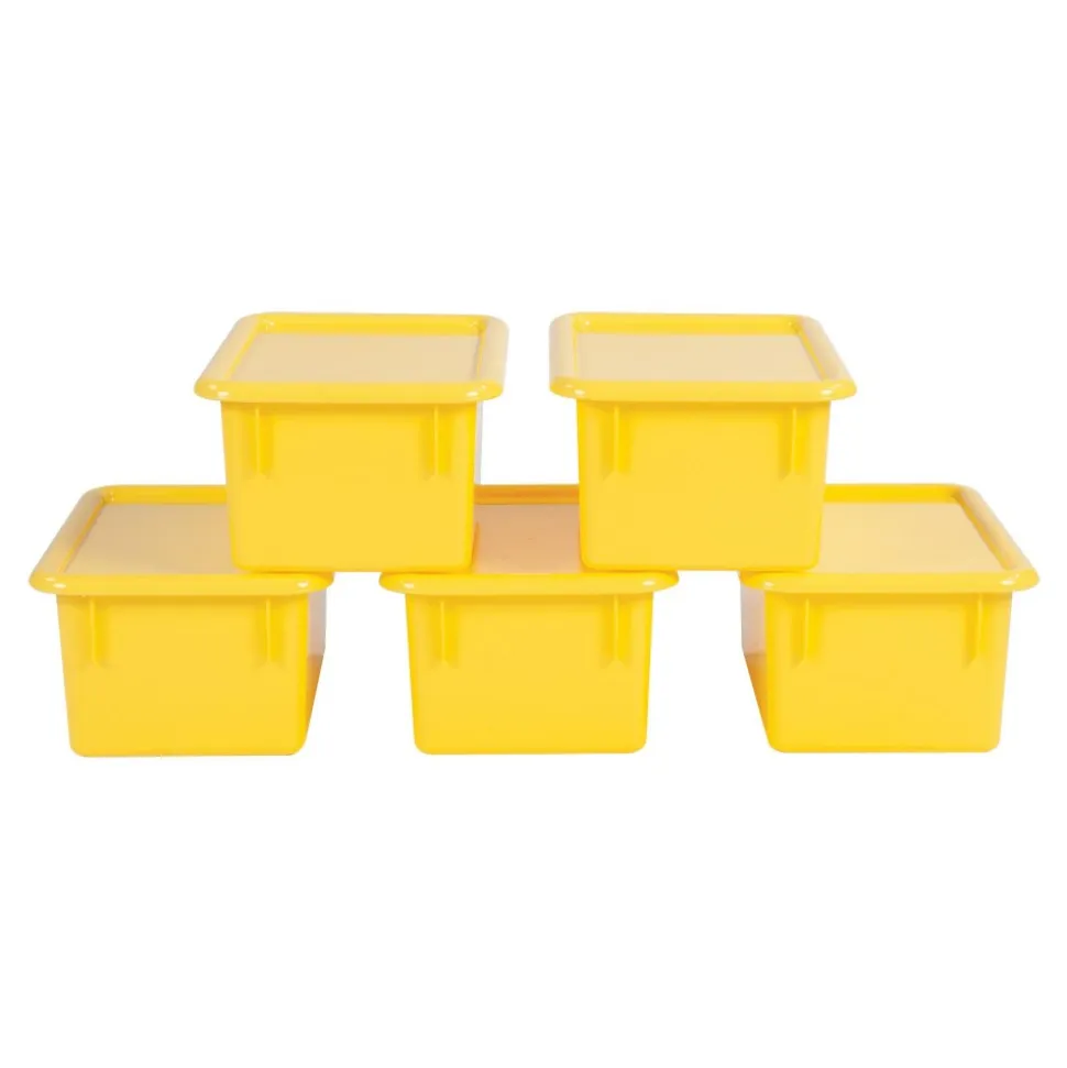 Storage Bins with Lids Set of 5