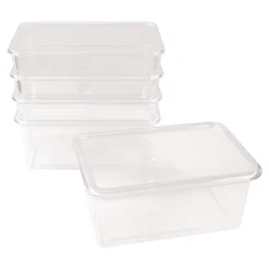 Storage Bins with Lids Set of 5