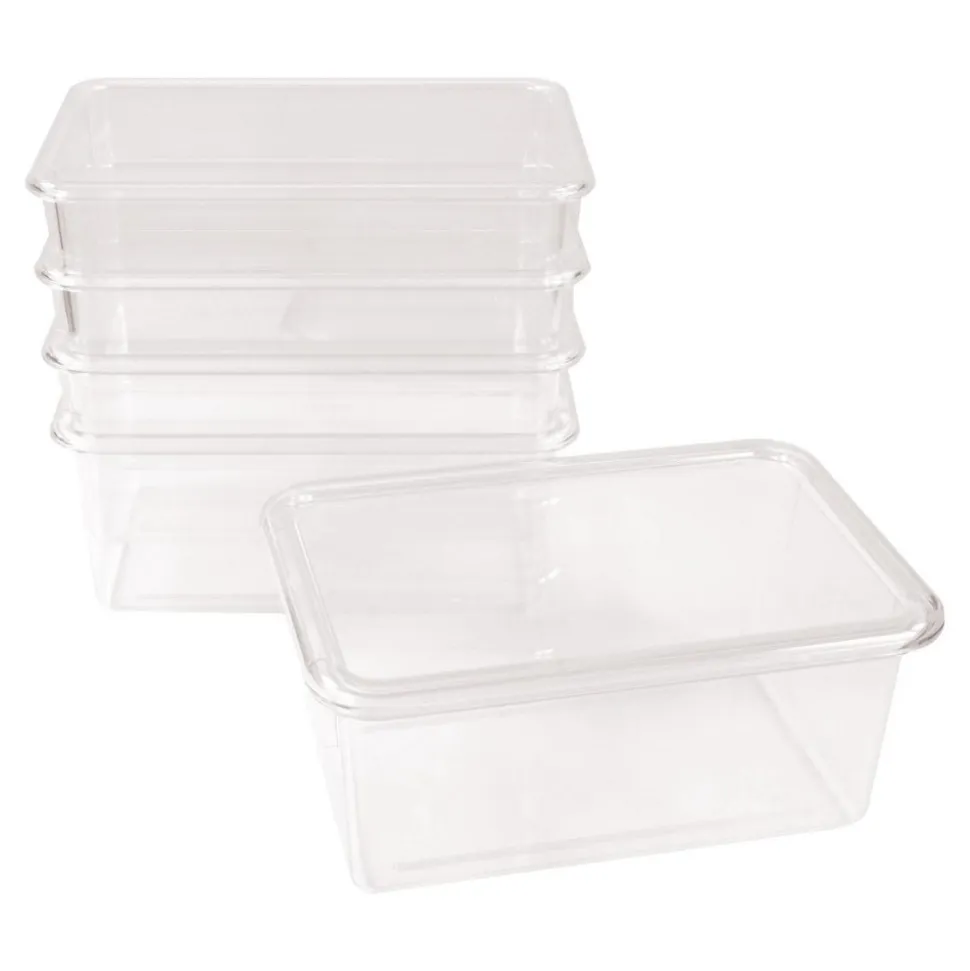 Storage Bins with Lids Set of 5