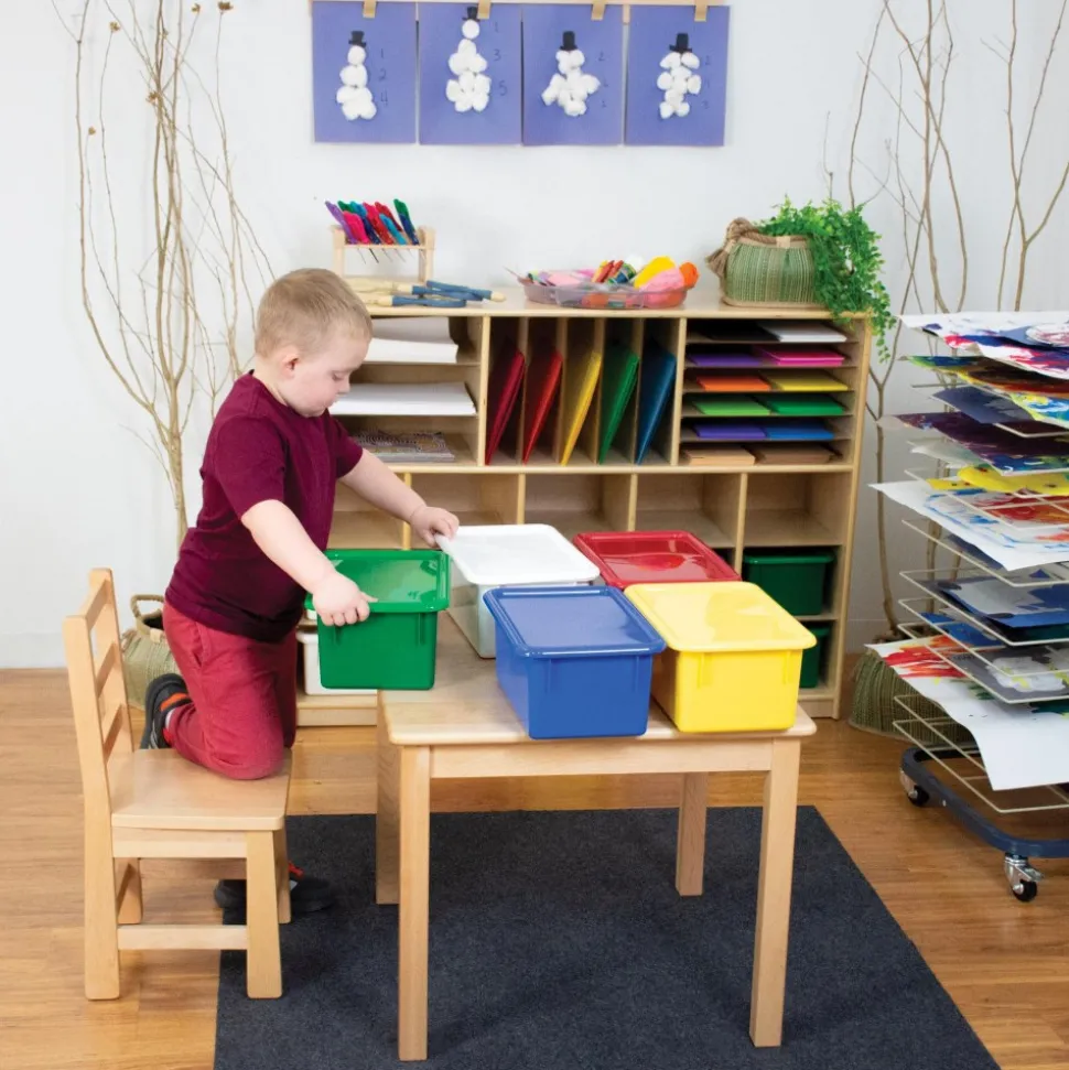 Storage Bins with Lids Set of 5