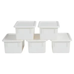 Storage Bins with Lids Set of 5