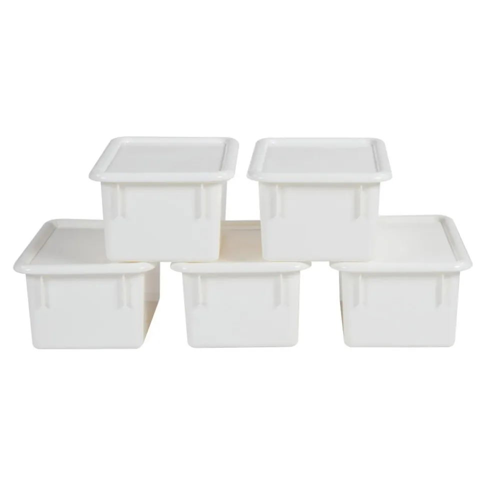 Storage Bins with Lids Set of 5