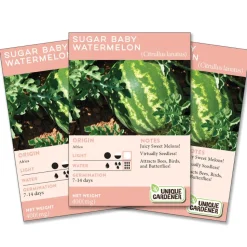 Sugar Baby Watermelon 3-Pack