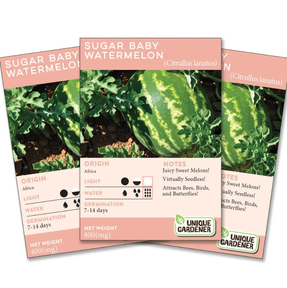 Sugar Baby Watermelon 3-Pack