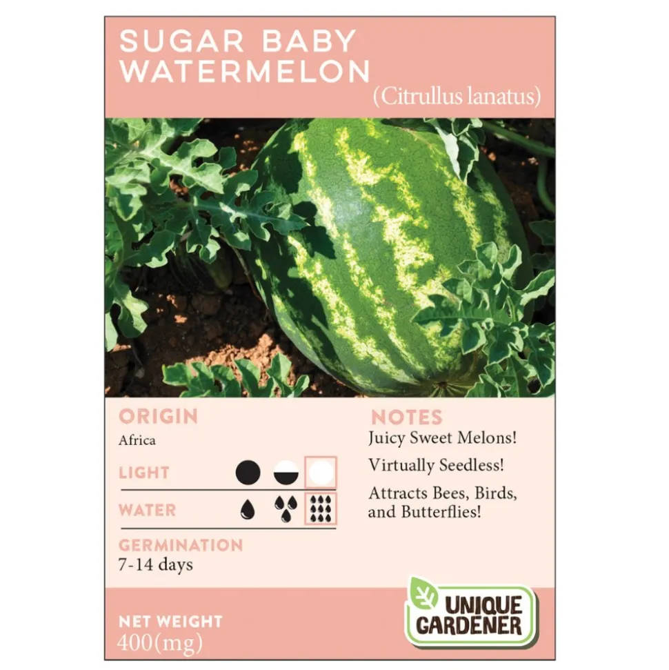 Sugar Baby Watermelon 3-Pack