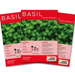 Sweet Basil Seeds 3-Pack
